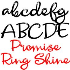 zp promise ring shine