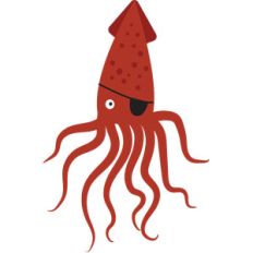 pirate octopus
