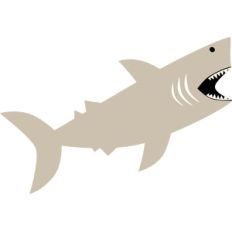 shark