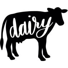 dairy cow