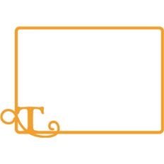 t initial frame