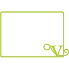 v initial frame