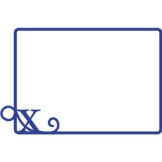 x initial frame