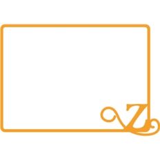 z initial frame
