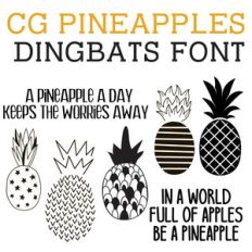 cg pineapples dingbats