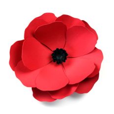 poppy flower
