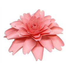 spring flower