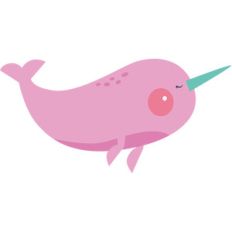 narwhal