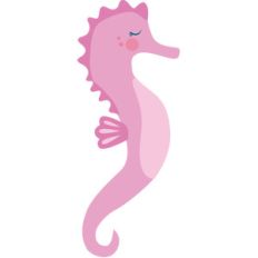 seahorse