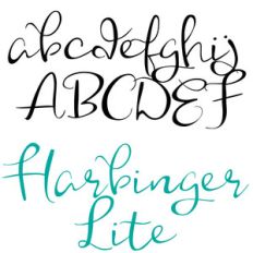 pn harbinger lite