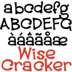 pn wise cracker