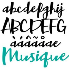 zp musique