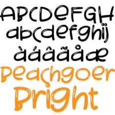 pn beachgoer bright