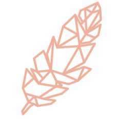 geometric feather