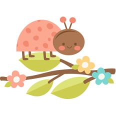 ladybug