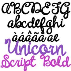 pn unicorn script bold