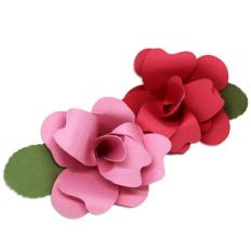spring roses