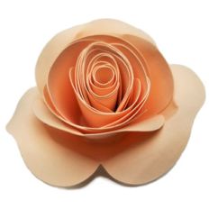 rosette