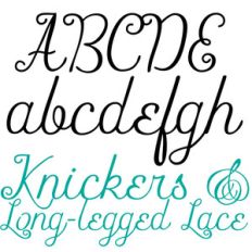 zp knickers and long-legged lace