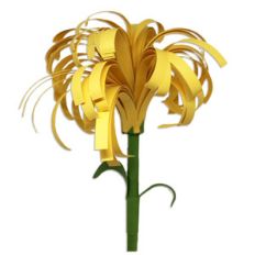 flower with stem
