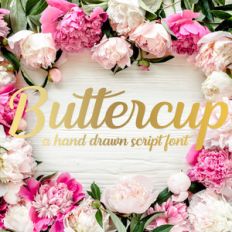 silhouette buttercup font