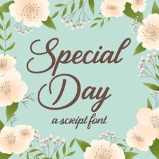 silhouette special day script font
