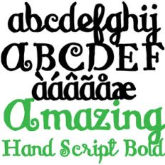 zp amazing hand script bold