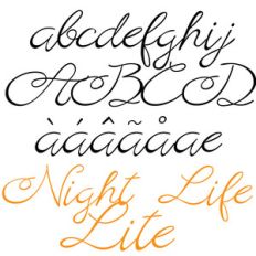 pn night life lite