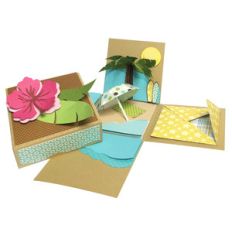 hawaii explosion box
