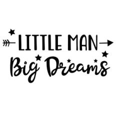 little man big dreams arrow quote