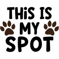 this is my spot