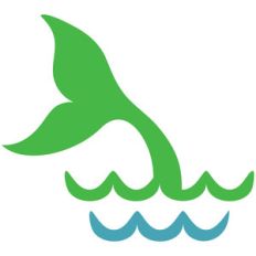 diving mermaid tail
