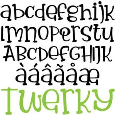 pn twerky