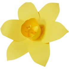 3d daffodil
