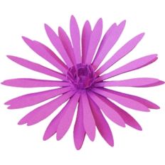 3d aster