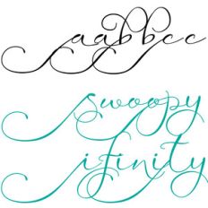 snf swoopy infinity