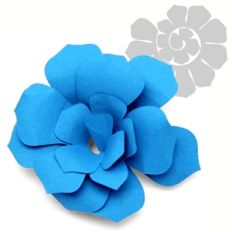 flower spiral gardenia