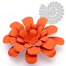 flower spiral marigold