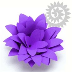 flower spiral star