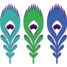 peacock feathers