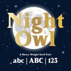 silhouette night owl font