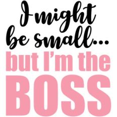 i might be small but i'm the boss