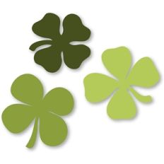 3 four-leaf clovers