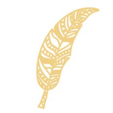 aztec feather
