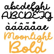 zp moonlight bold