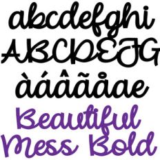 zp beautiful mess bold