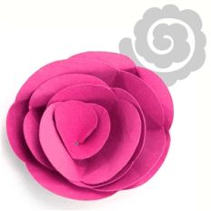flower spiral peony bud