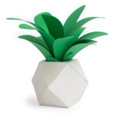 geometric pot and plant
