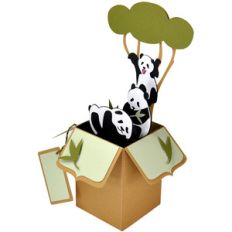 panda play card in a box