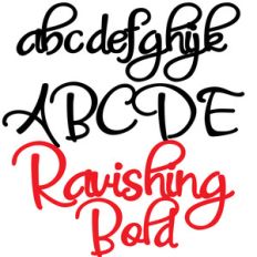 zp ravishing bold